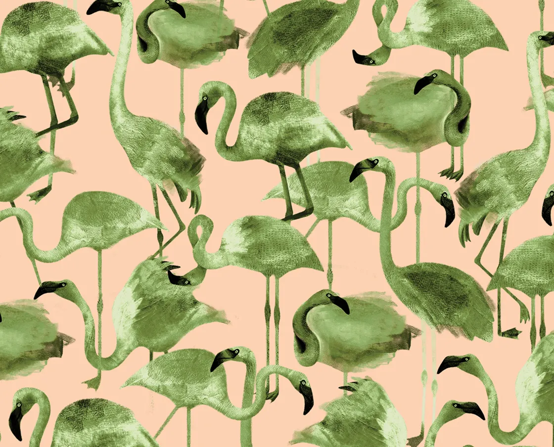 NIVA Flamingo Cipria carta da parati disegnata a mano