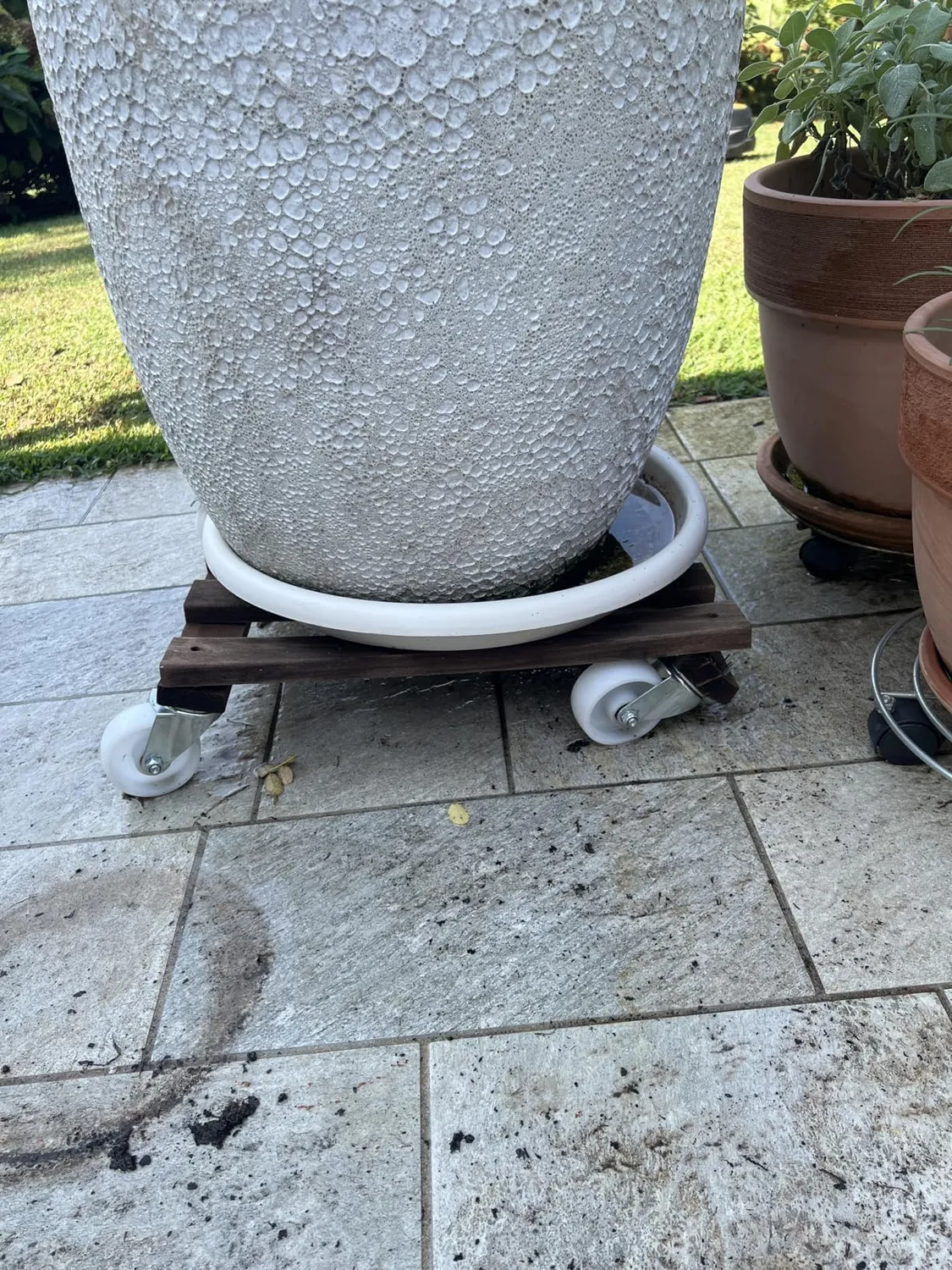 Wagner Paletti Big 20087001 carrello piante 45x45 cm 250 kg