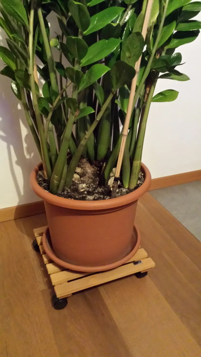 Wagner carrello piante 35x35 terracotta con ruote legno