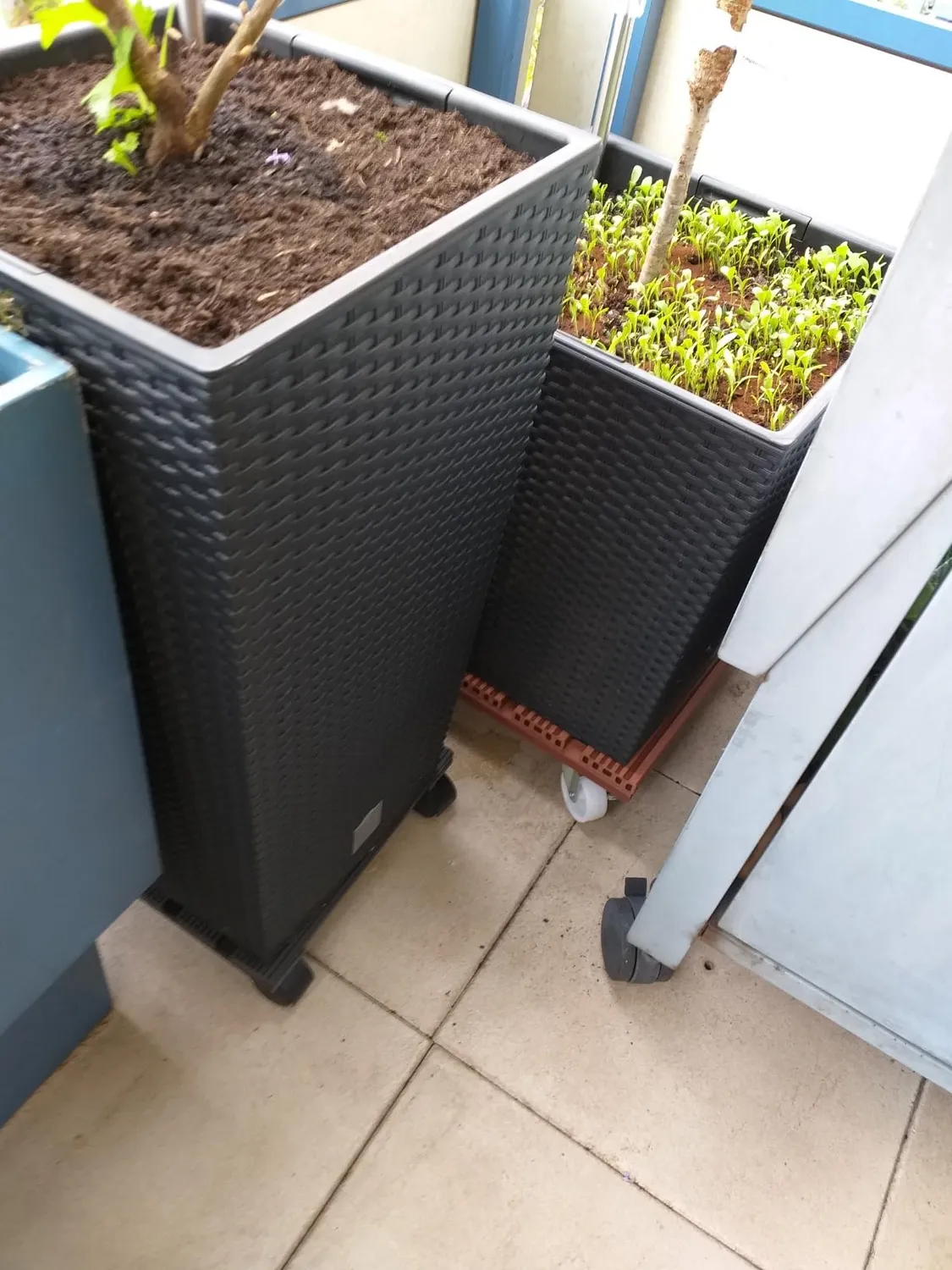 Wagner WPC Carrello Piante 38,5 cm Terracotta 120 kg