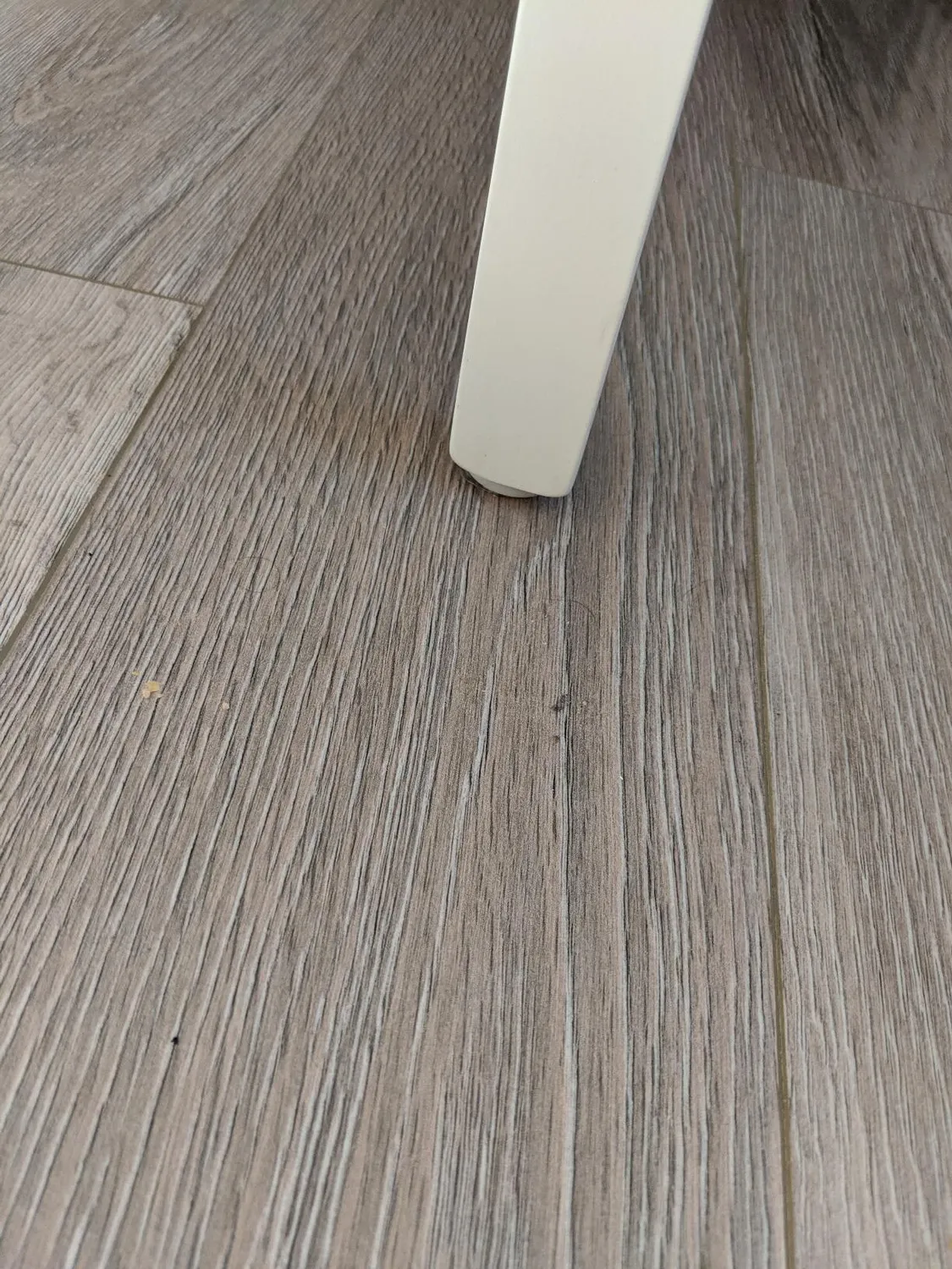 Adsamm Feltrini con Vite Ø 28 mm Marrone 32 Pezzi
