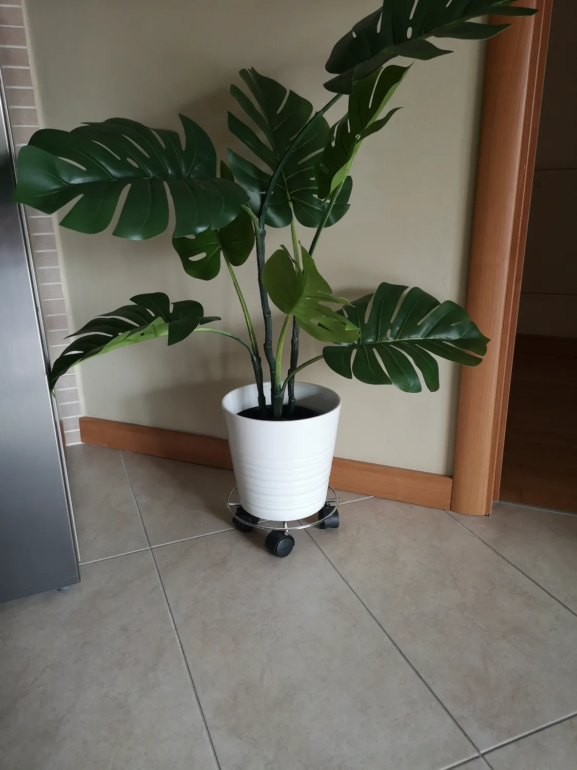 Wagner Chromato carrello piante Ø23 cm 60 kg