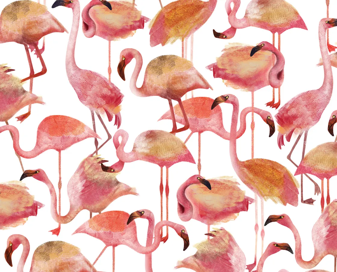 NIVA Design Flamingo Pink carta da parati rosa