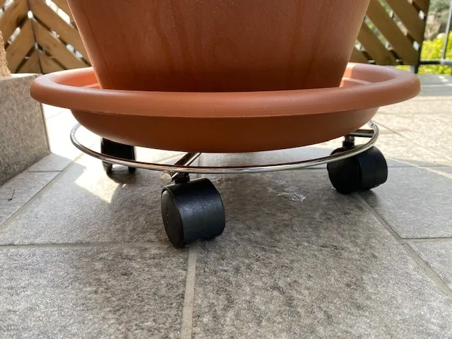 Wagner Chromato carrello piante Ø30 cm 60 kg