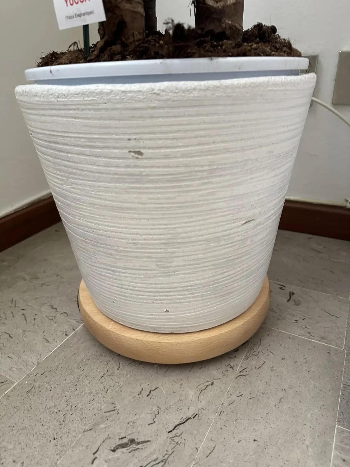 Wagner Massiv carrello piante faggio 25 cm 100 kg ruote