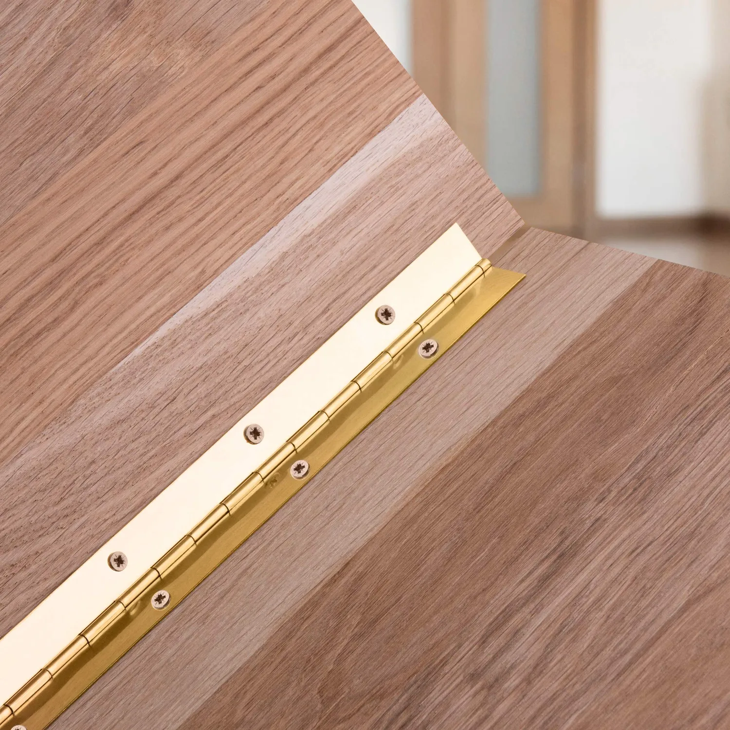Gedotec cerniera pianoforte 400x20 mm ottone 1 pezzo acciaio