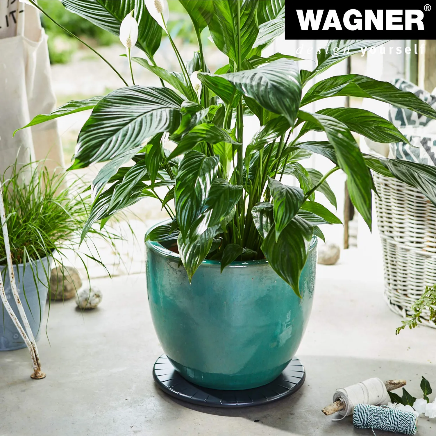Wagner Ultraflat Sottovaso Ruote Ø30x2,5 cm Nero 100 kg