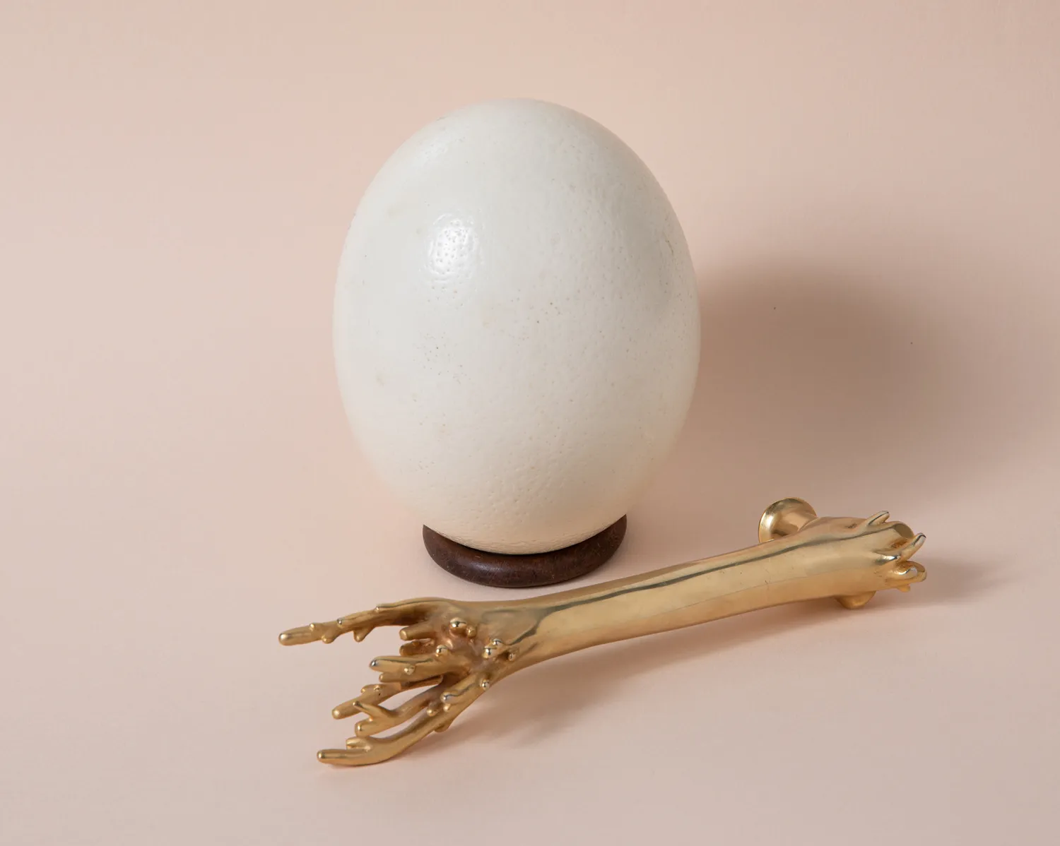 NIVA Design Corallo maniglia ottone rossa