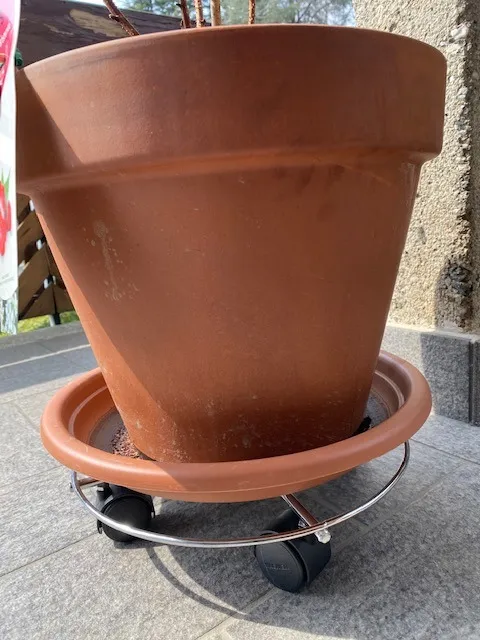 Wagner Chromato carrello piante Ø30 cm 60 kg