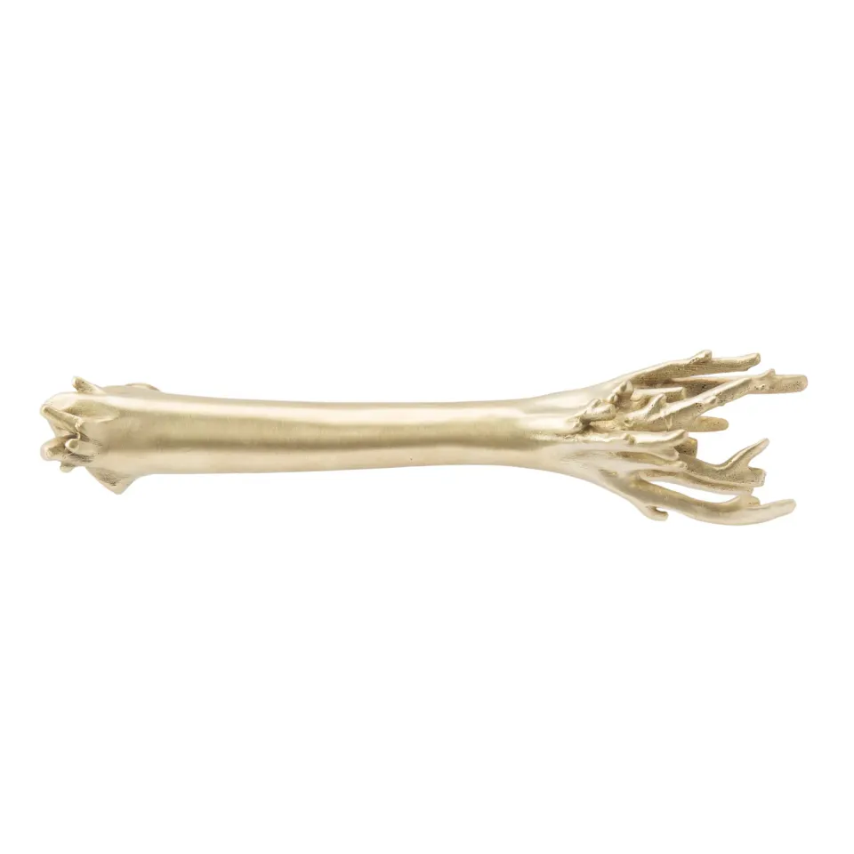 NIVA Design Corallo maniglia ottone barriera corallina
