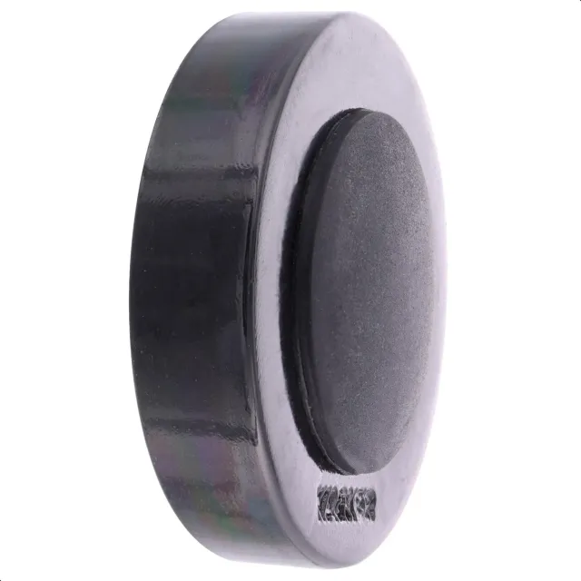 WAGNER Screw or Glue 15517211 fermaporta parete nero metallo