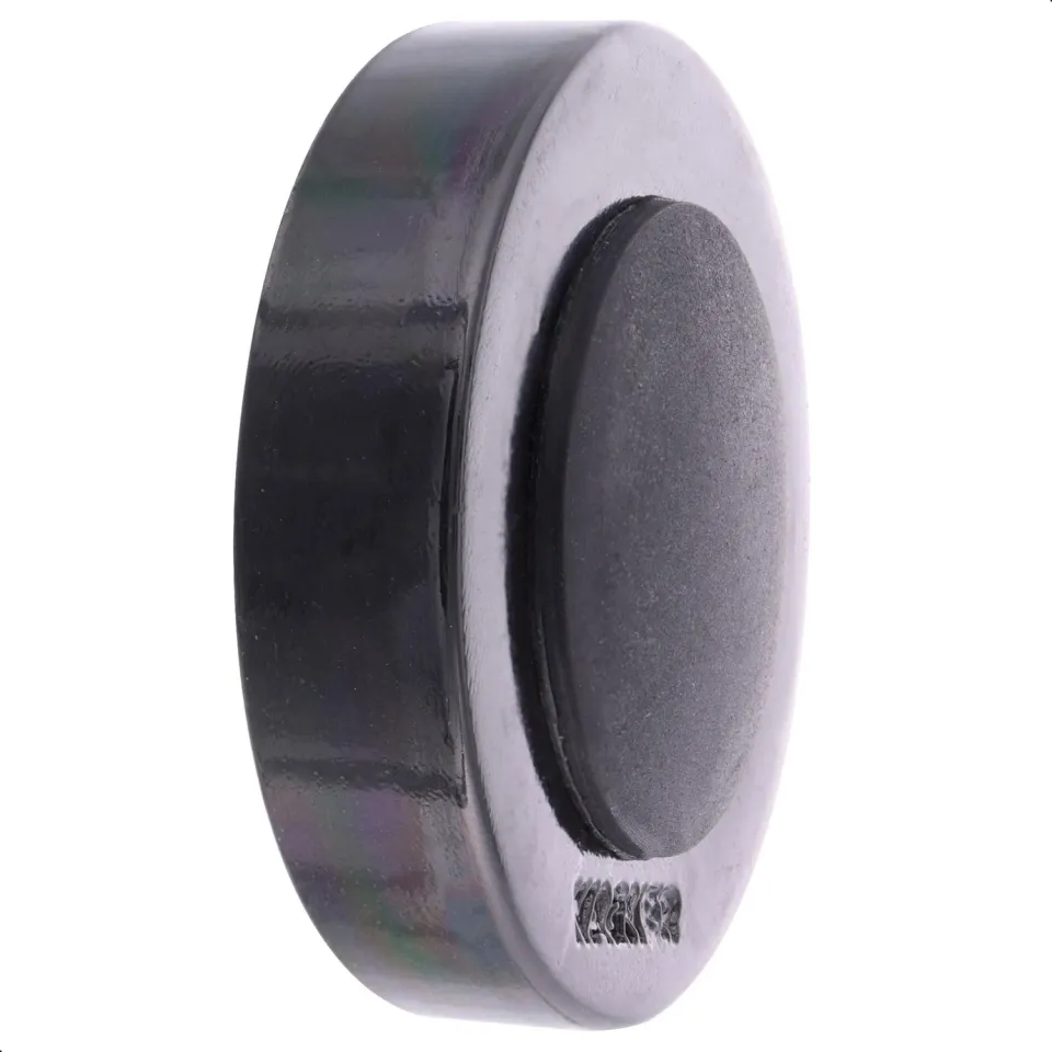 WAGNER Screw or Glue 15517211 fermaporta parete nero metallo