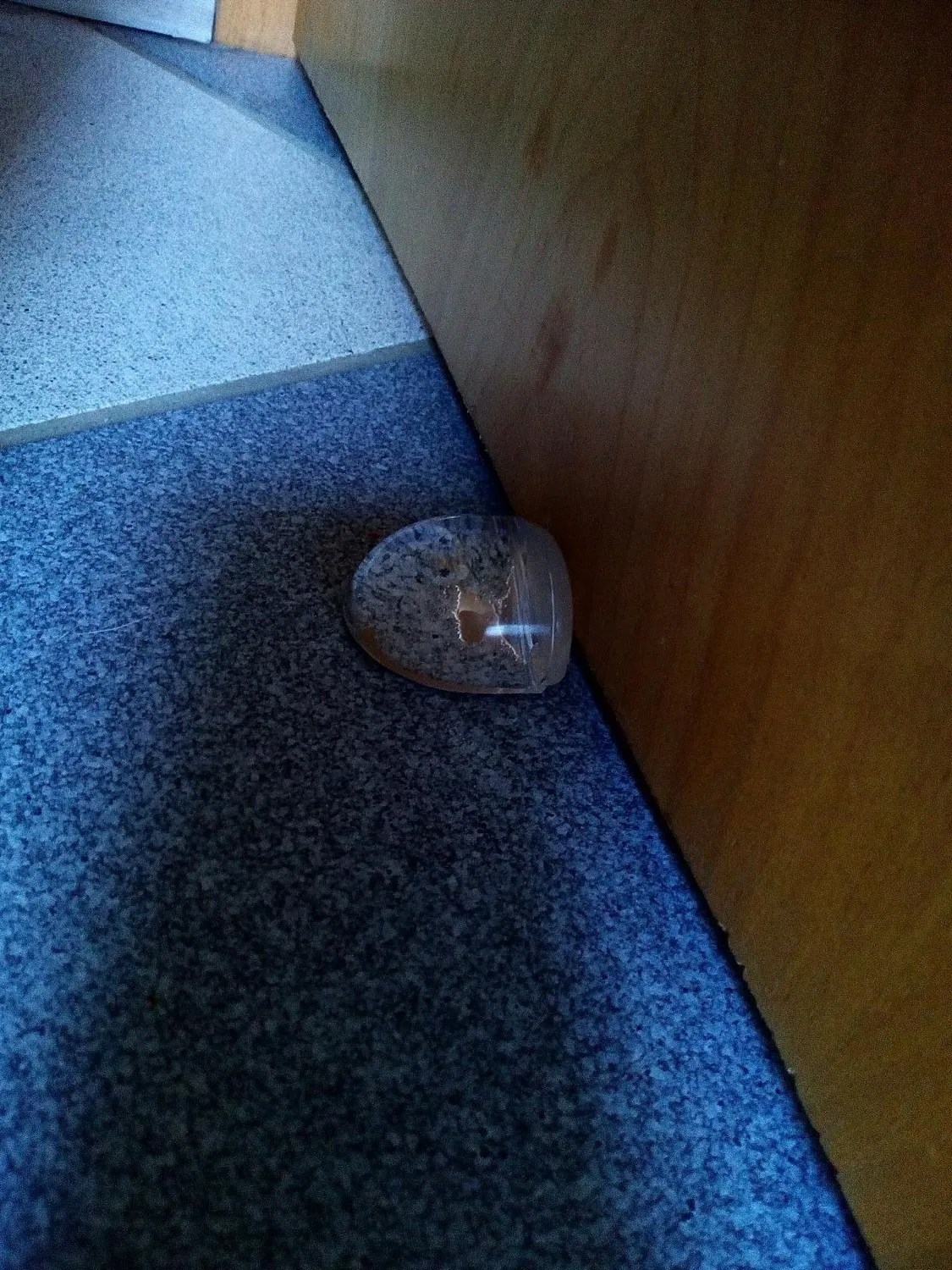 Wagner Clear fermaporta pavimento adesivo 38x34x20 mm gomma