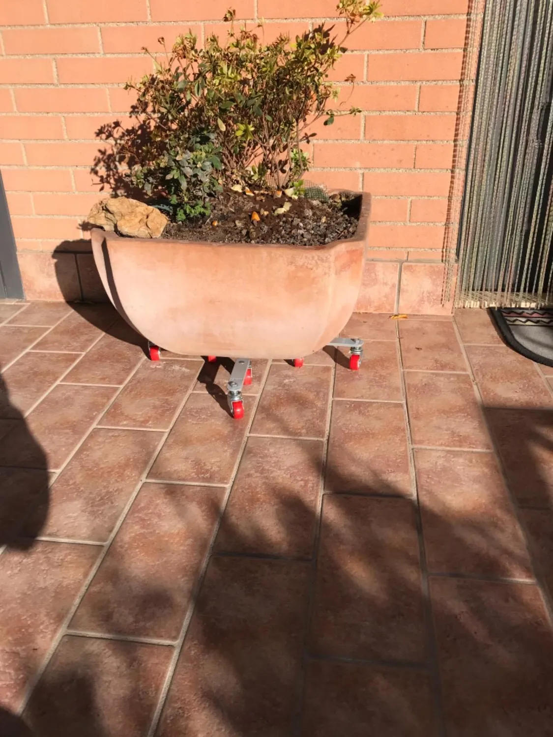 Wagner Sun City Small Carrello Piante 22-33 cm 75 kg