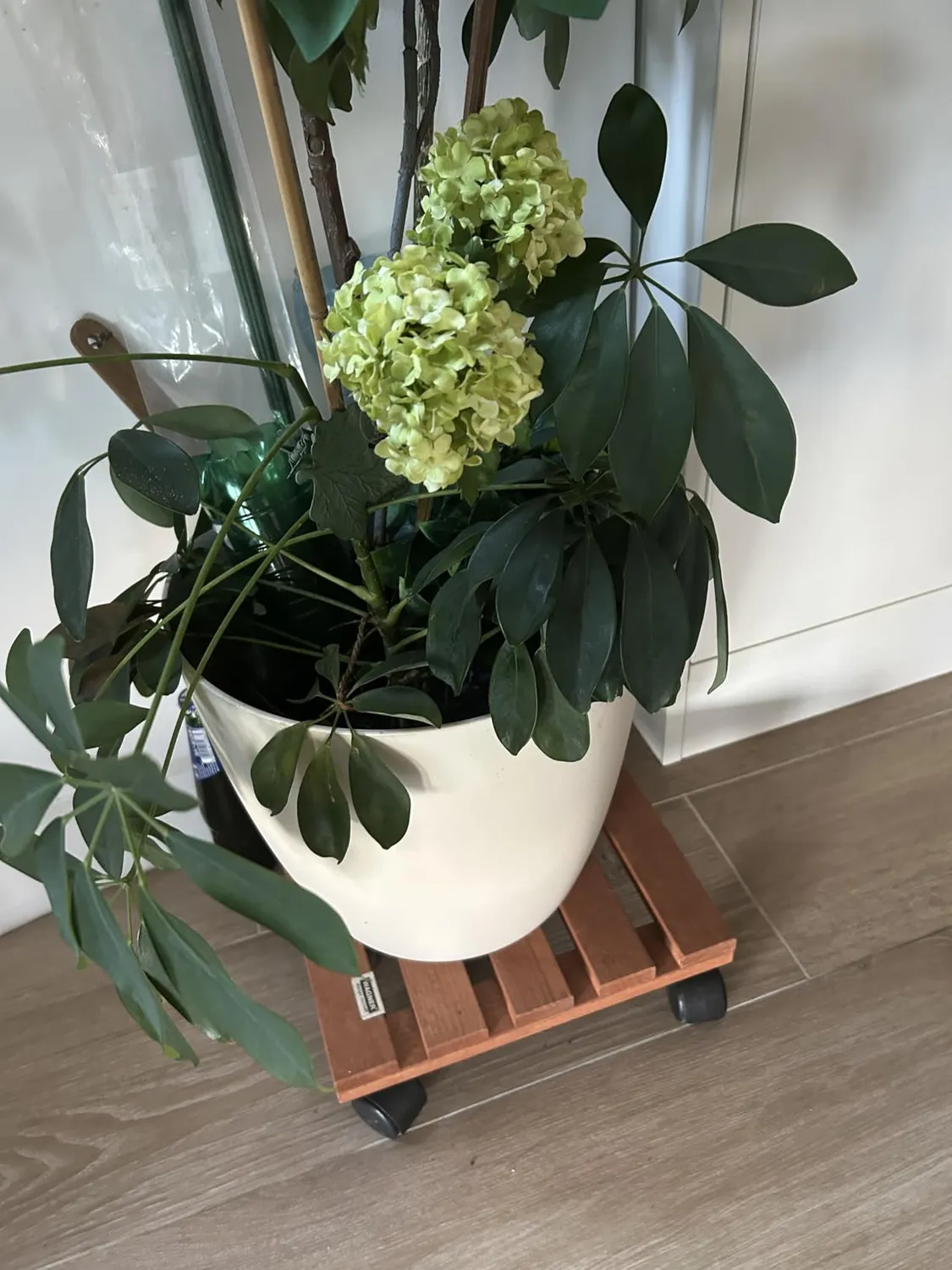Wagner carrello piante 35x35 terracotta con ruote legno