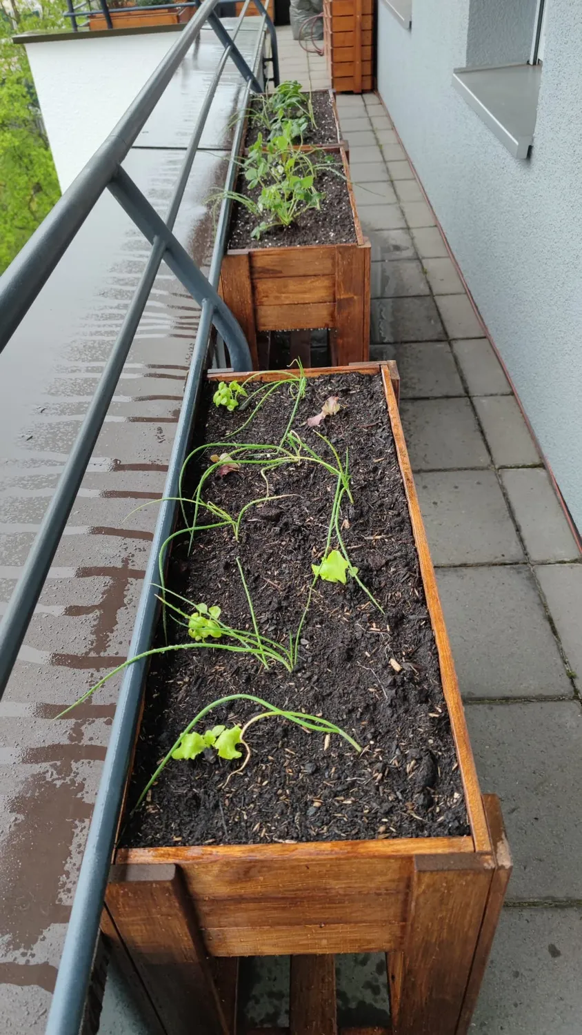 Wagner GreenBox Light aiuola rialzata naturale 83 cm