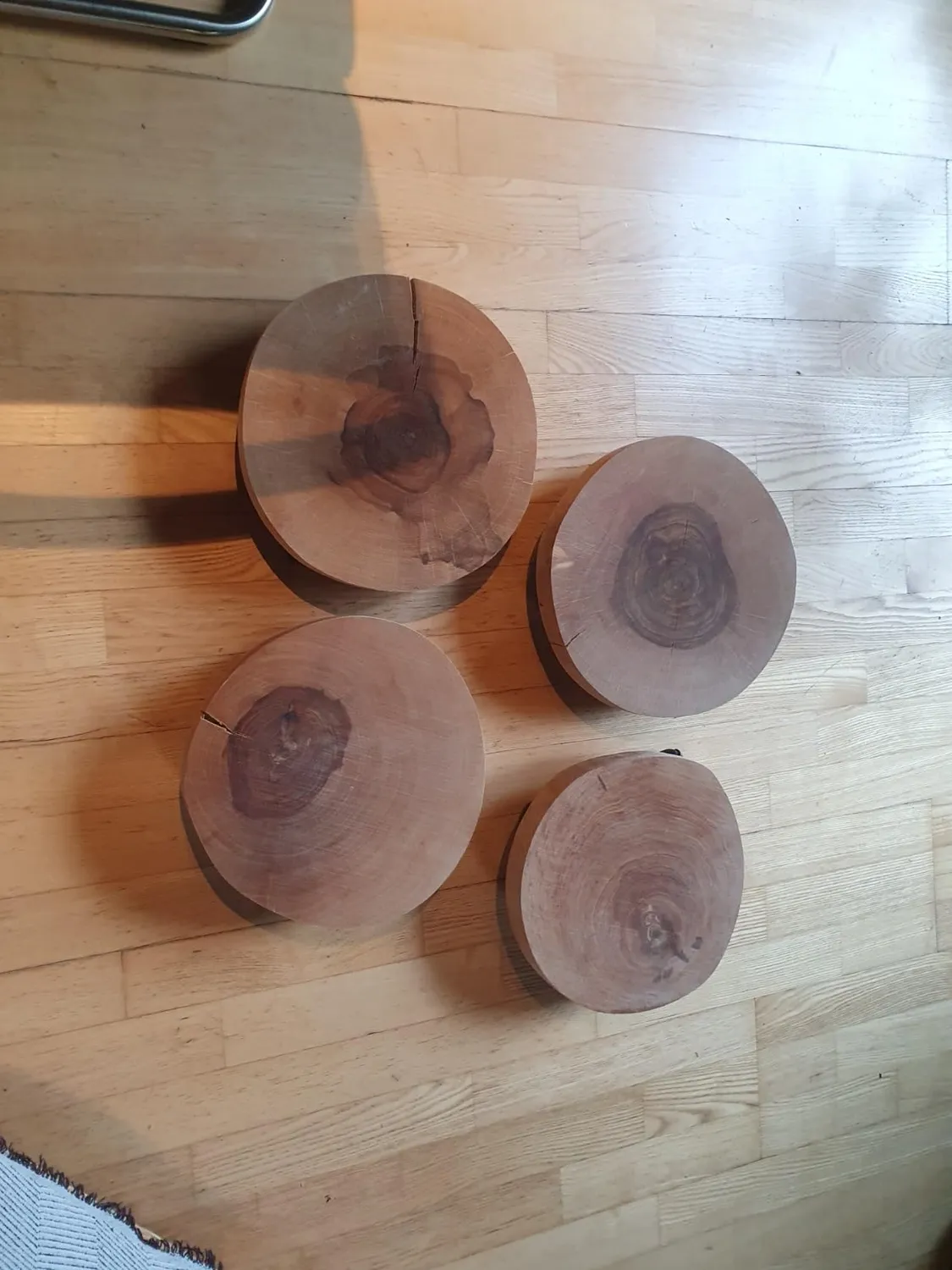 Wagner Carrello per Piante Tondo Betulla Ø 25-30 cm 100 kg