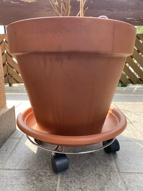 Wagner Chromato carrello piante Ø30 cm 60 kg