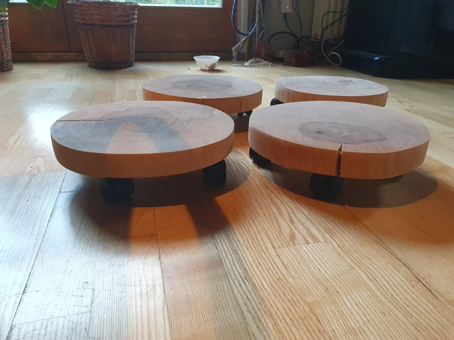 Wagner Carrello per Piante Tondo Betulla Ø 25-30 cm 100 kg