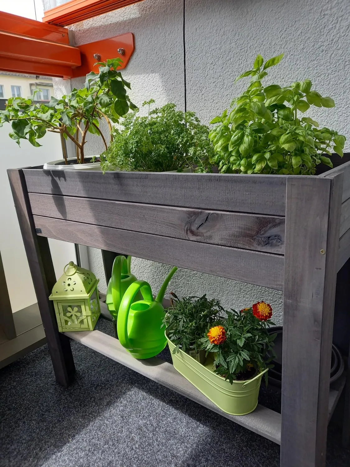 Wagner GreenBox Light aiuola rialzata naturale 83 cm