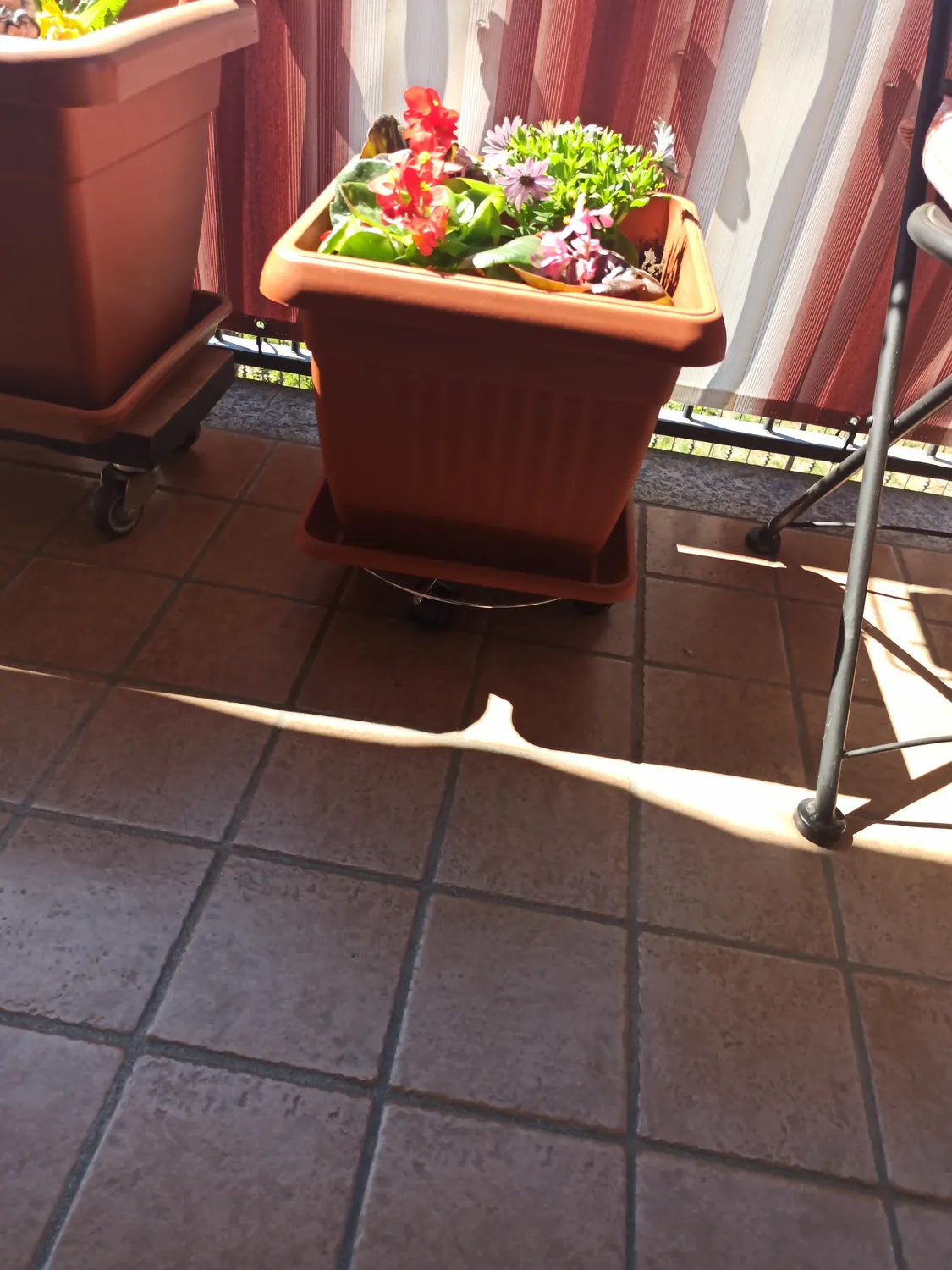 Wagner Chromato carrello piante Ø23 cm 60 kg